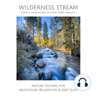 Wilderness Stream (without music) - Peaceful Water Sounds with Deep Forest Ambience