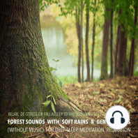 Forest Sounds with Soft Rains & Gentle Winds (without music) for Deep Sleep, Meditation, Relaxation