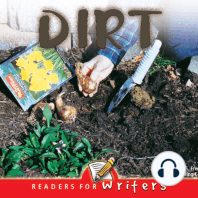 Dirt