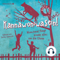 Kannawoniwasein - Manchmal fliegt einem alles um die Ohren