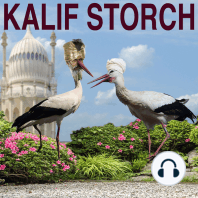 Kalif Storch