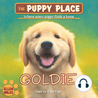 Goldie (The Puppy Place #1)