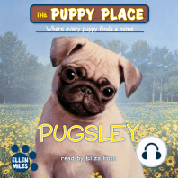 Pugsley (The Puppy Place #9)