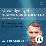 Stress Bye Bye! Mit Bewegung aus der Burnout Falle - Stressmanagement & Burn-out Prävention - ein Motivationsvortrag