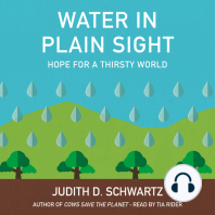 Water in Plain Sight