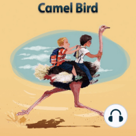 Camel Bird