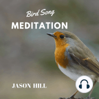 Bird Song Meditation