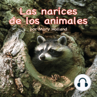 Las narices de los animales