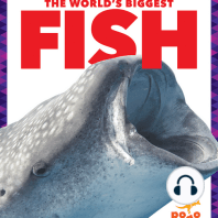 The World's Biggest Fish