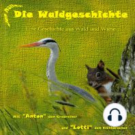 Die Waldgeschichte