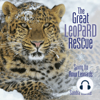 The Great Leopard Rescue