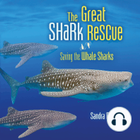 The Great Shark Rescue
