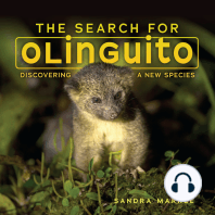 The Search for Olinguito