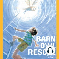Barn Owl Rescue
