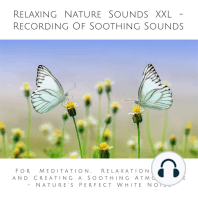 Relaxing Nature Sounds (without music) - Recording Of Soothing Nature Sounds