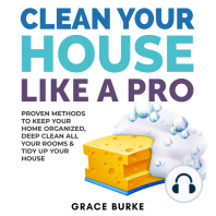 Clean Your House Like a Pro