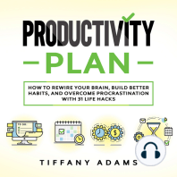 Productivity Plan