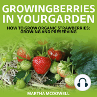 Growing Berries In Your Garden