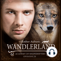 Wandlerland, Episode 24 - Fantasy-Serie
