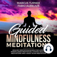 Guided Mindfulness Meditation Healing Meditation Bundle