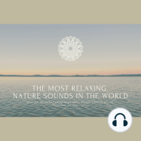 The Most Relaxing Nature Sounds In The World