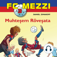 FC Mezzi 3