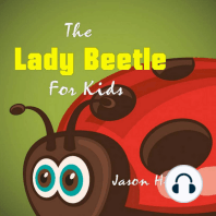 Lady Beetle for Kids