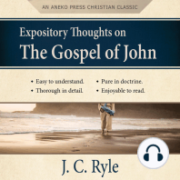 Expository Thoughts on the Gospel of John