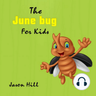 The June bug for Kids