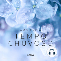 Ambiência - Tempo Chuvoso