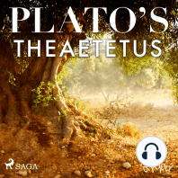 Plato’s Theaetetus