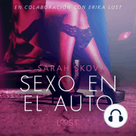 Sexo en el auto - Literatura erótica