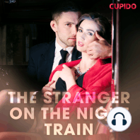The Stranger on the Night Train