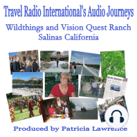 Wildthings and Vision Quest Ranch