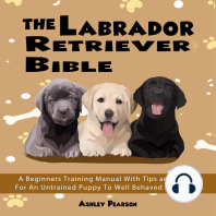 The Labrador Retriever Bible