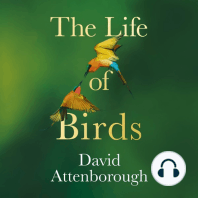 The Life of Birds