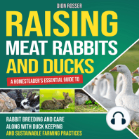 Raising Meat Rabbits and Ducks