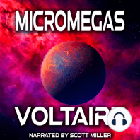 Micromegas