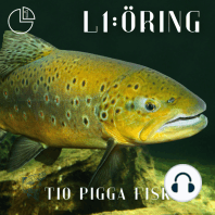 Öring: Tio pigga fiskar