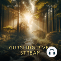 Gurgling River Stream