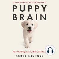 Puppy Brain: How Our Dogs Learn, Think, and Love