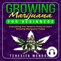 Growing Marijuana for Beginners