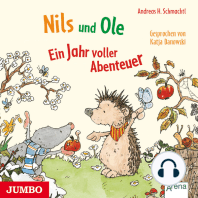 Nils und Ole. Ein Jahr voller Abenteuer [ungekürzt]