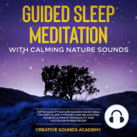 Guided Sleep Meditation With Calming Nature Sounds