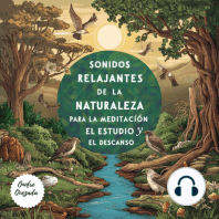 Sonidos Relajantes De La Naturaleza Para La Meditación El Estudio Y El Descanso