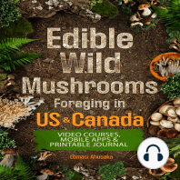 Edible Wild Mushrooms Foraging in US & Canada