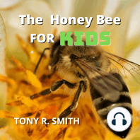 The Honey Bee for kids