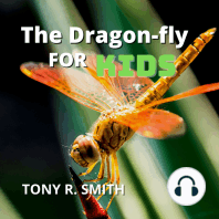The Dragon-Fly for Kids
