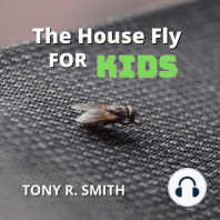 The House Fly for Kids