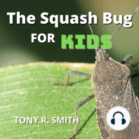 The Squash Bug for kids